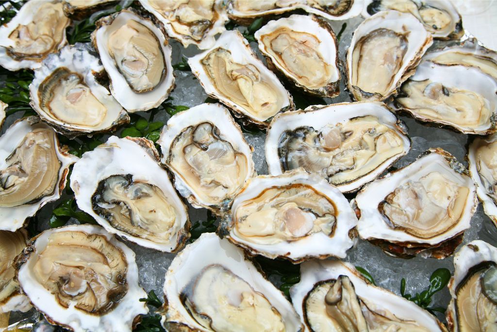 Fresh oysters that you can enjoy during the best happy hour NYC has to offer