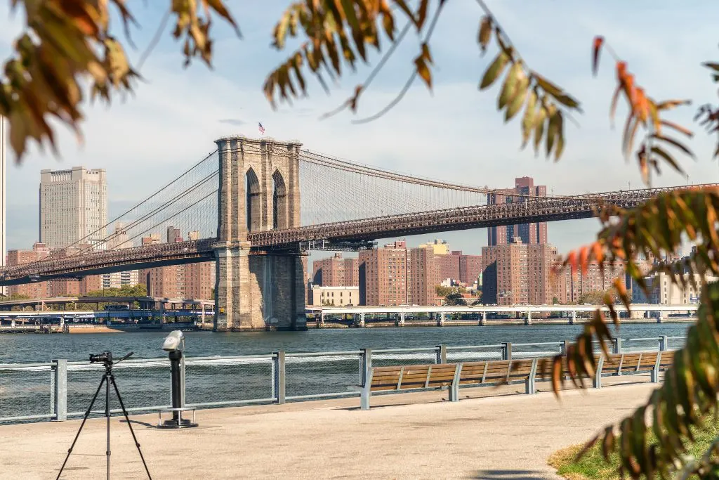 View of the Brooklyn Bridge framed by autumn leaves during one of the best walking tours Brooklyn has to offer. 