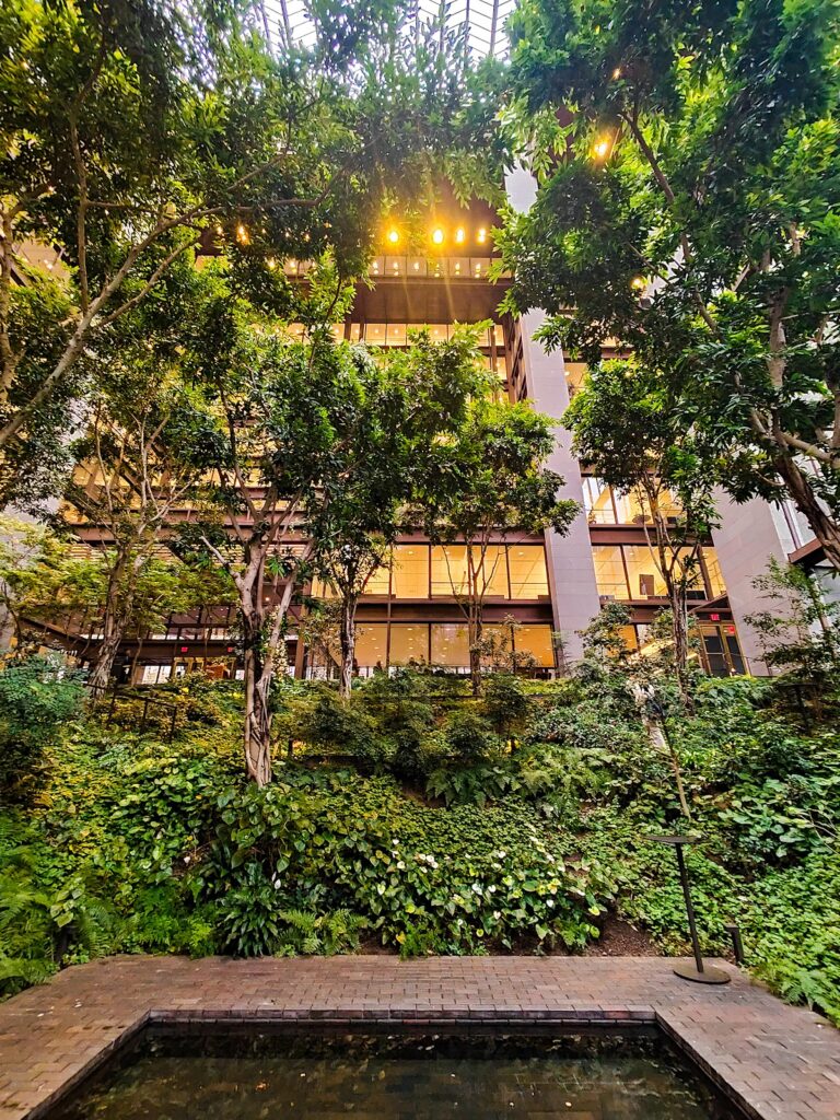 View of the vibrant green interior of the Ford Foundation Garden.