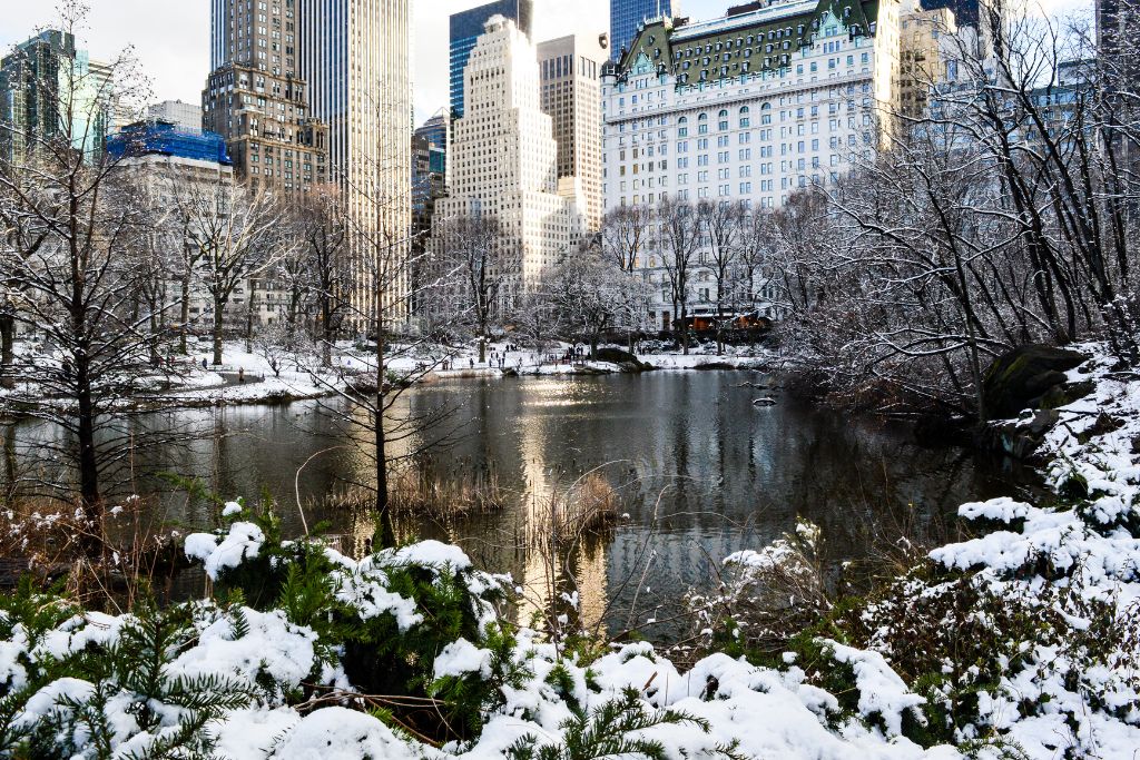 Snow along the edge of the pond and lake in Central Park. There are skyscrapers in the brackground. 
