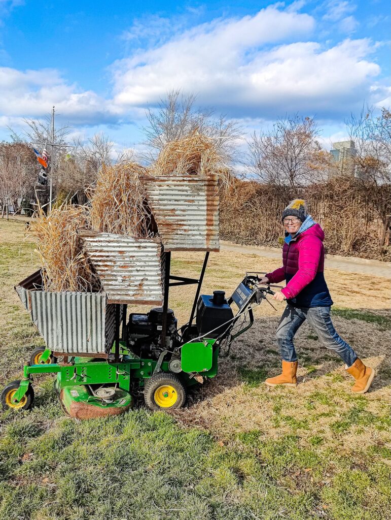View of Kelly wearing a winter jacket and jeans when pushing a mower at Socrates Park. 