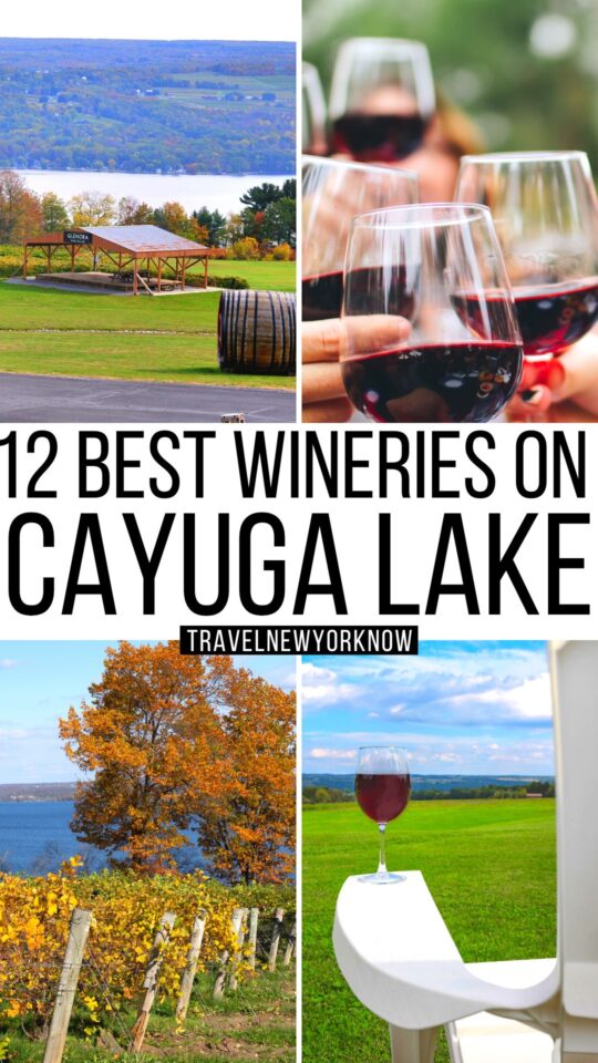 12 Best Cayuga Lake Wineries 2023 + Amazing Local Tips