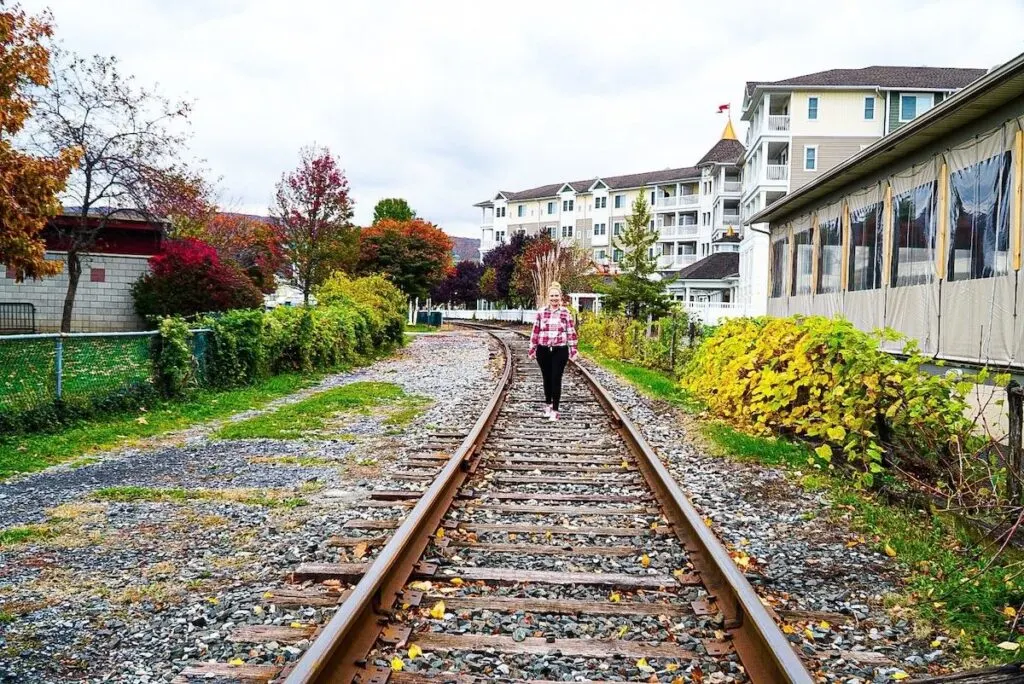 View of me standing on the railroad in a red plaid shirt in Watkins Gleb. 