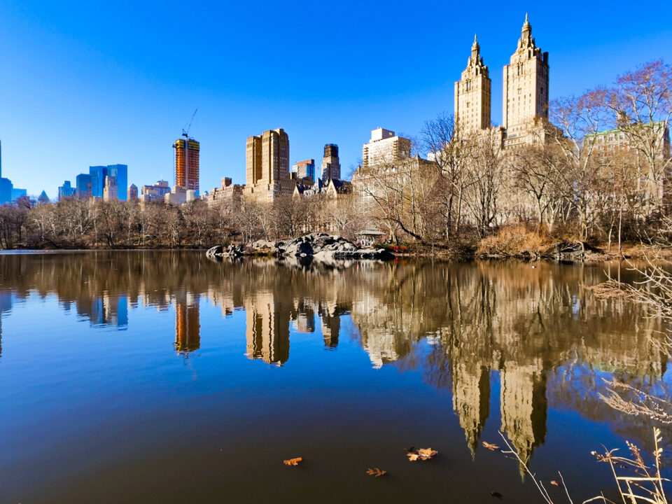 New York City in February: 15 Best Things to do from a Local